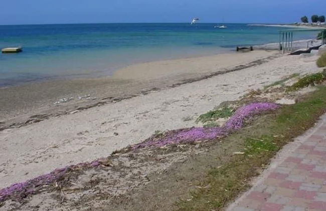 Oysta La Vista - Photo 21