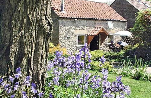 Old Barn Cottage - Photo 1