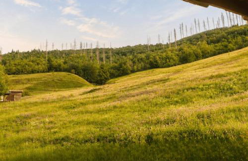 Harz Ferienwohnung Mühlenteich - Natur, Ruhe & Wandern - Foto 19
