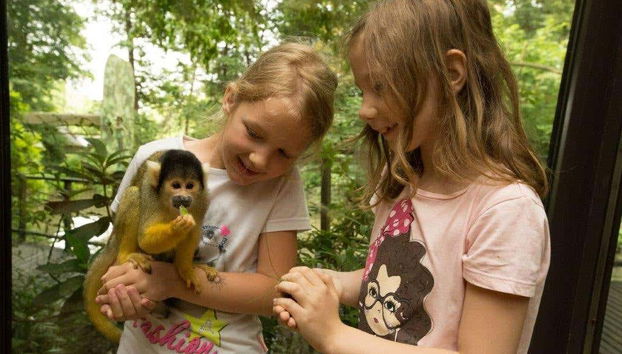 Visiting Ljubljana zoo