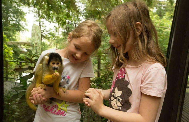 Ljubljana Card - Foto 5