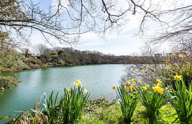 Tresowes Green Cottage - Foto 50