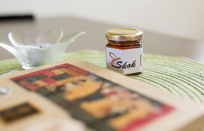 Apartments Beeland Skok Mozirje - Foto 6