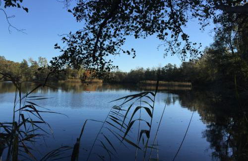 Landhaus Arcadia in Paretz - Foto 33