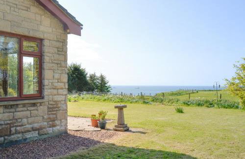 Sweet Hope - Foto 15