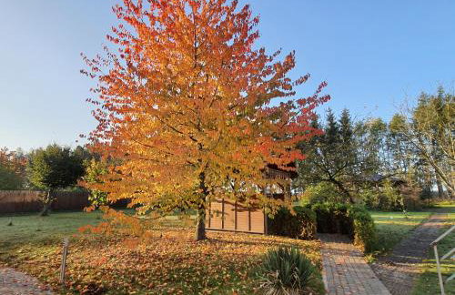 Bukowa Ostoja - Foto 23