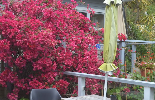 The Lighthouse - Photo 19