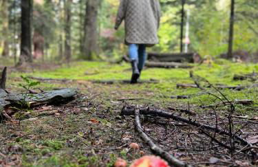 Ferienwohnung Schwarzwald Lodge - Foto 26