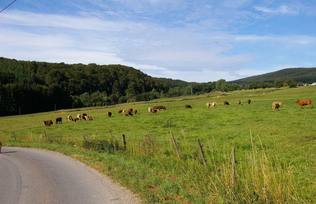 Lovely Holiday Home in Stipshausen With Terrace - Foto 57