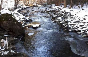 Ferienwohnung Mirtei - Foto 34