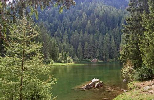 Sul cucuzzolo - Foto 62