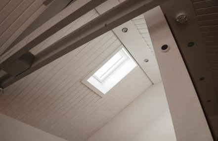 Schön Hier - im Harz - Foto 21