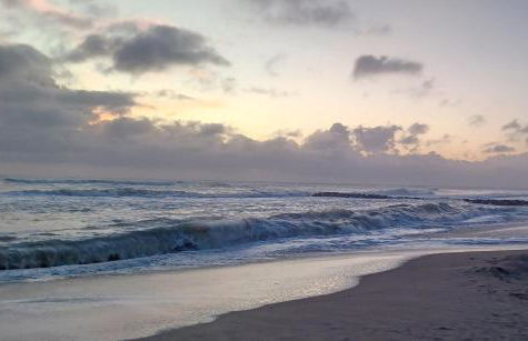 Lovely PitStop Fiumicino - Foto 22