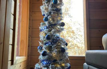 Moose Lodge w/HotTub - Foto 42