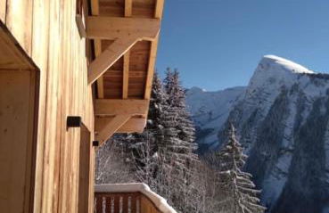 Chalet avec jacuzzi - 150 m des remontées - Foto 36