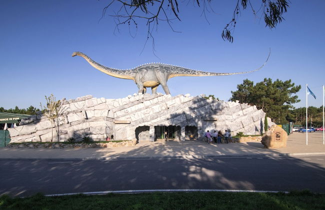 Dino & Beach Villa V3 - Foto 64