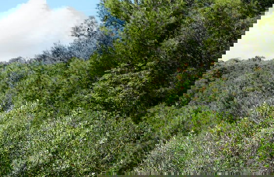 Studio Apartment Slivje - Foto 22