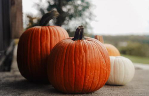 ‘Scenic Escapes’ Romantic Pine Grove Getaway! - Foto 17