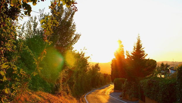 Bologna - Old Town Private Historic Walking Tour - Photo 5