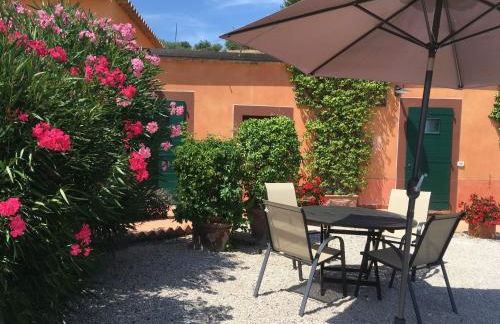 Poggio Montali - Foto 5