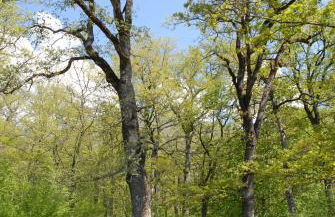 Casetta romantica a Collepardo - Foto 18