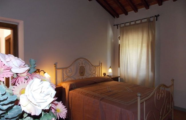 Tenuta Poggio Marino - Foto 22