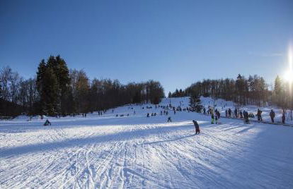 Wald & Weg - Foto 24