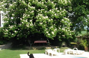 Appartement 2 - Foto 7