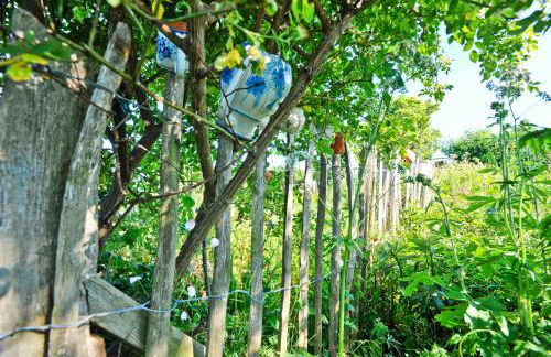 Ferienwohnungen im Fischerdorf und - Foto 9