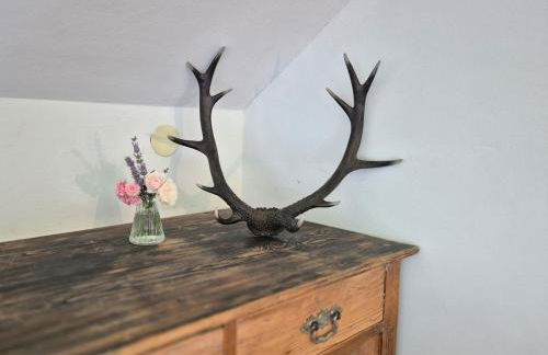 Echtes Schwarzwaldhaus - Traditionell & Modern - Foto 43