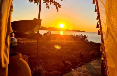 Le Panoramic - Foto 1