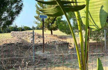 Ancient Pydna Paradise - Foto 31