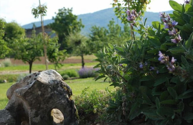 Abbazia Sette Frati Agriturismo Fratres - Photo 39