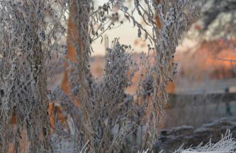 Pension up´n Dörp - Foto 23