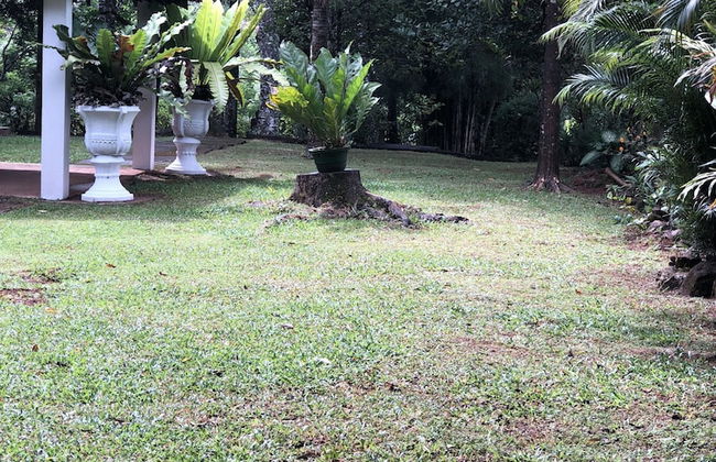 Captain's Bungalow - Foto 49