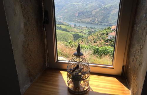 Casa da Oliveira - Photo 14