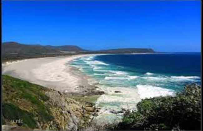 Bermuda Capri Cape Town - Foto 18