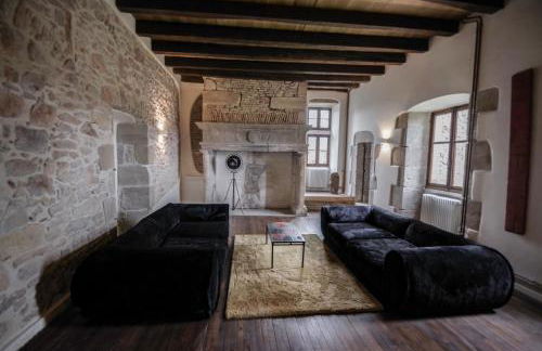 Chateau de Saint Dau - Foto 48