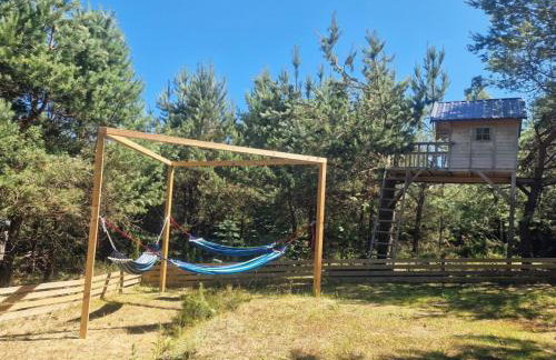 Domek pod lasem - Photo 5