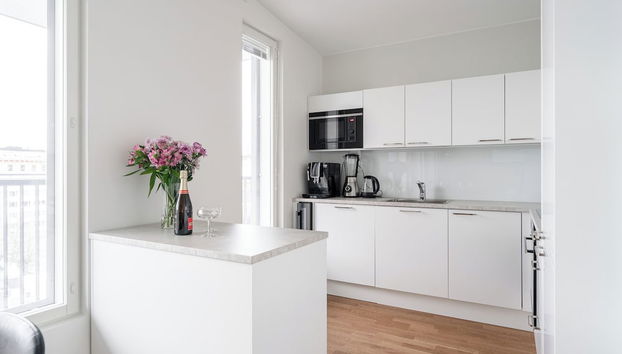 Luxurious 1BR Penthouse with Balcony - Foto 4, Cocina privada