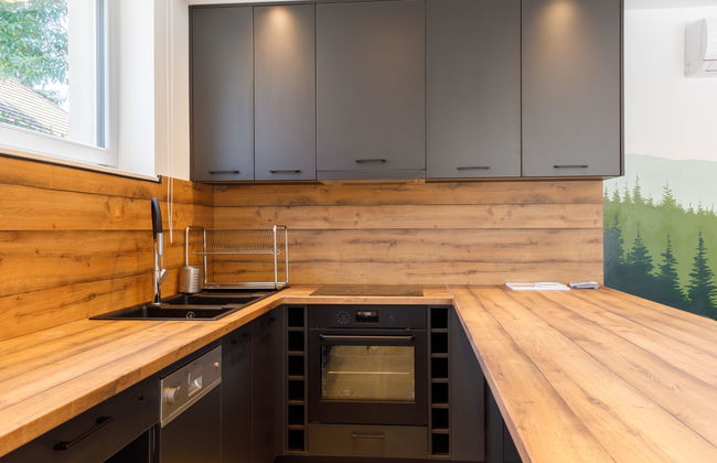 1 bedroom Apartment in Balatonszárszó with garden and terrace - Photo 17