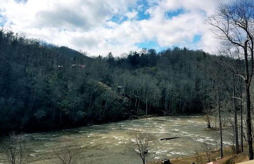 Unique Yurt Rental on Peony Farm with Riverfront View in Clyde, North Carolina - Foto 37