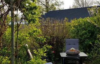 Nordsee Ferienwohnung im Künstlerhaus bei Husum - keine Monteure Arbeiter - Foto 21