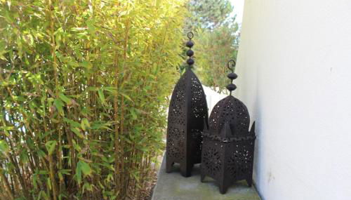 Santa Cruz Beach House - Photo 5