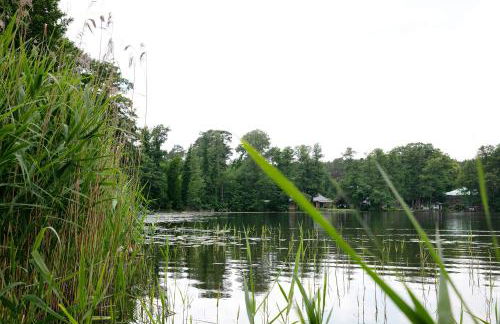 Ferienhäuschen am See - Foto 34
