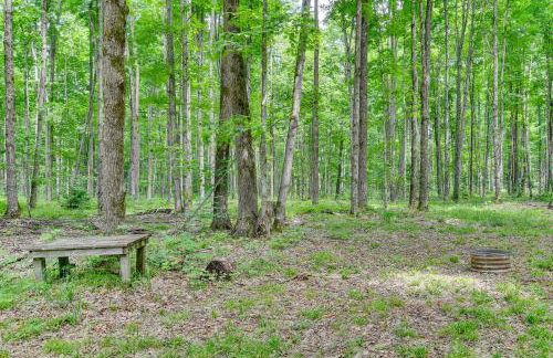 400-Acre Outdoor Enthusiasts Lodge in Mancelona! - Foto 3