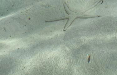 Tanza in Vetrina 2024 - Foto 57