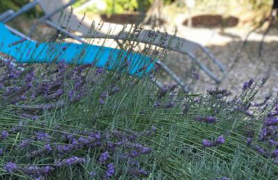 Ferienwohnung am Gässle - Foto 37