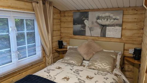 Snowdonia Log Cabin 2 - Foto 5