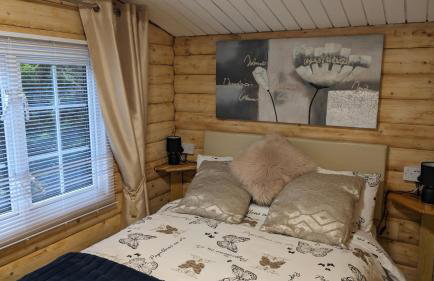 Snowdonia Log Cabin 2 - Foto 5